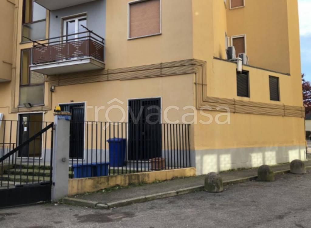 immagine annuncio 3 di 11
