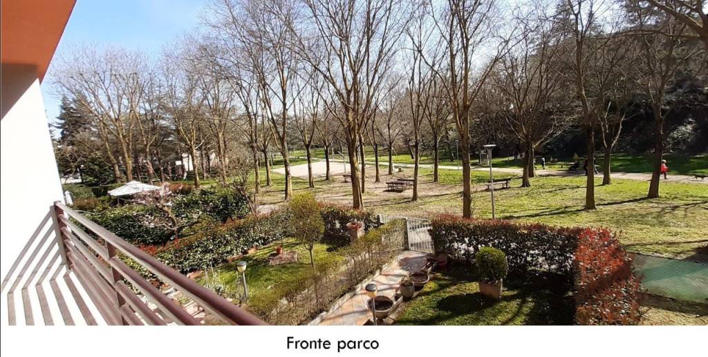 immagine annuncio 3 di 14