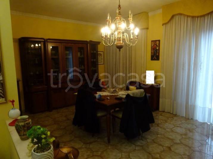 immagine annuncio 10 di 14