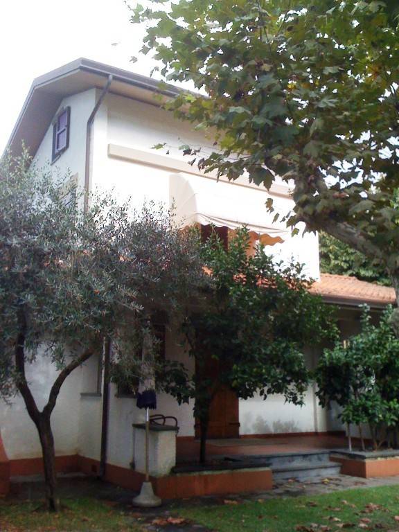 immagine annuncio 3 di 8