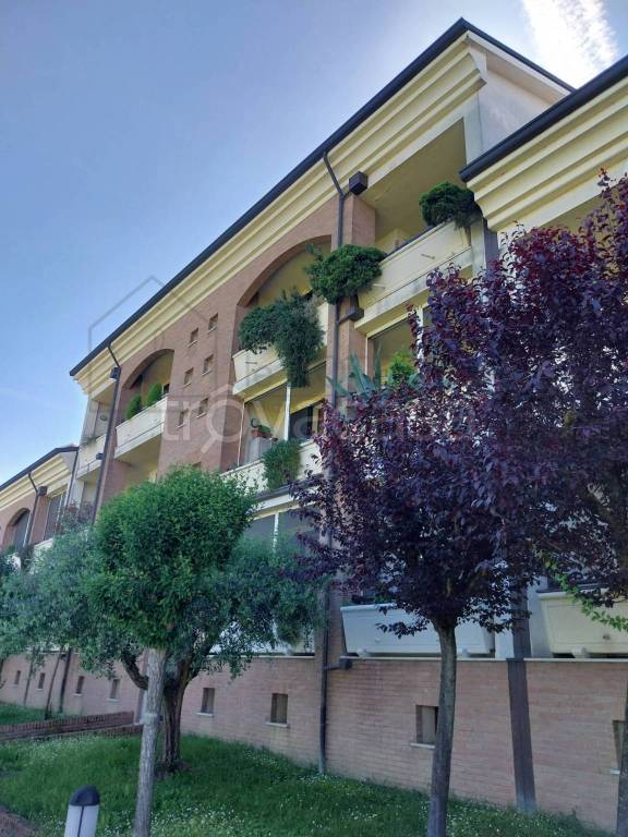 immagine annuncio 2 di 4