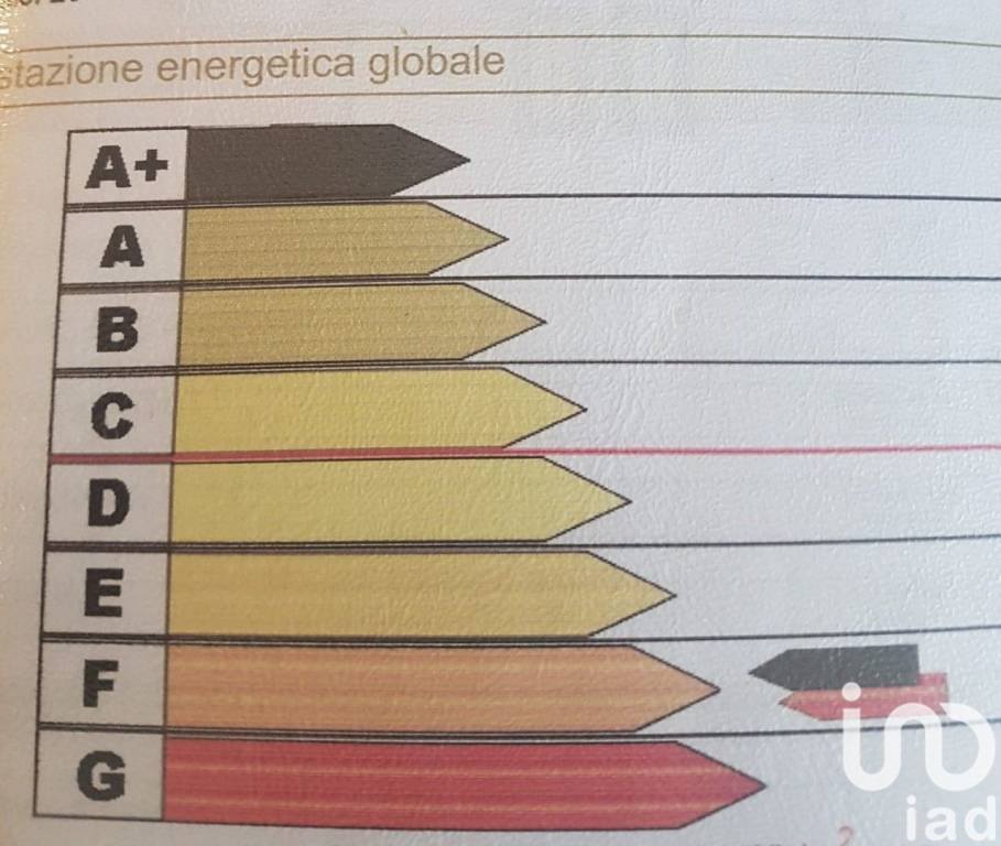 immagine annuncio 12 di 13