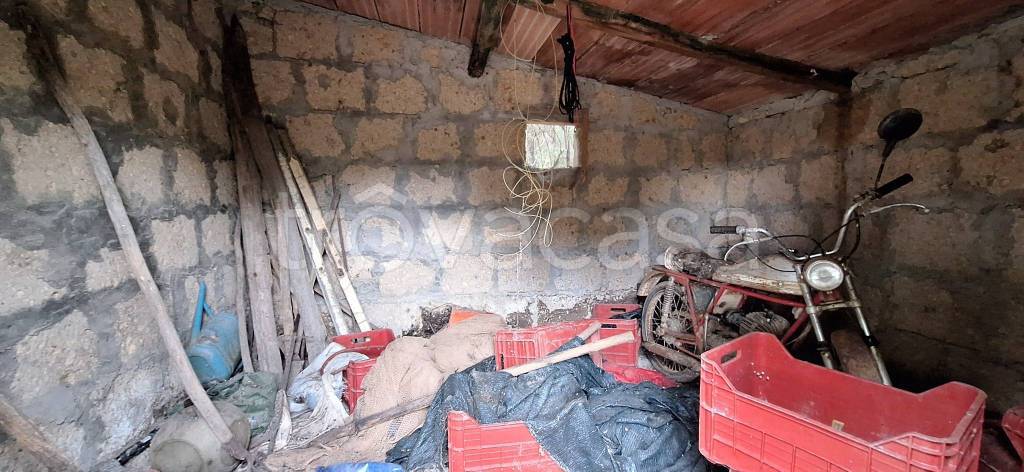 immagine annuncio 5 di 13