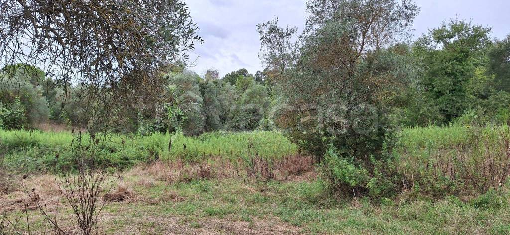 immagine annuncio 11 di 13