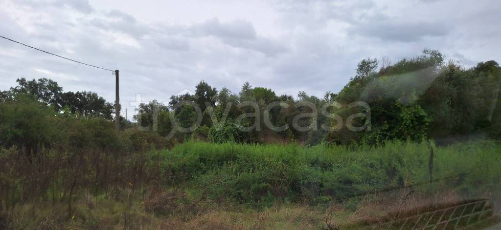 immagine annuncio 12 di 13