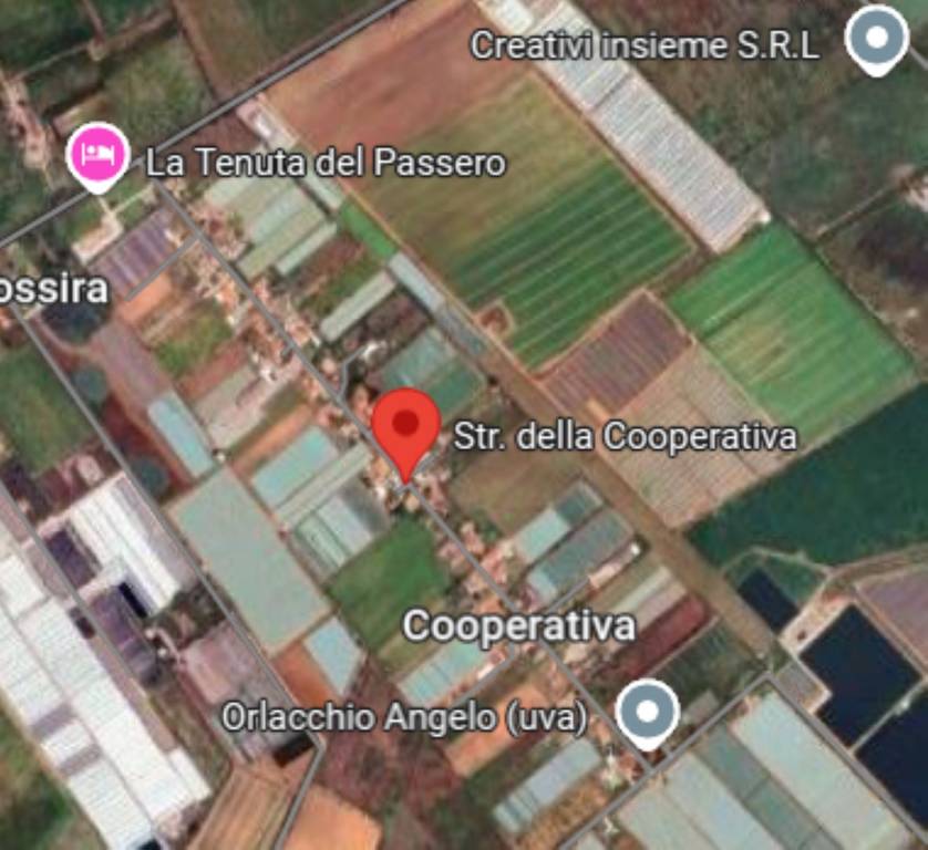 immagine annuncio 6 di 11
