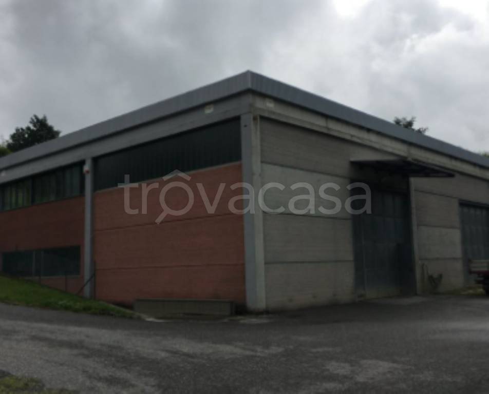 immagine annuncio 4 di 11