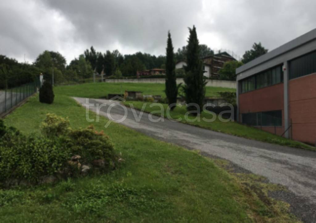 immagine annuncio 6 di 11
