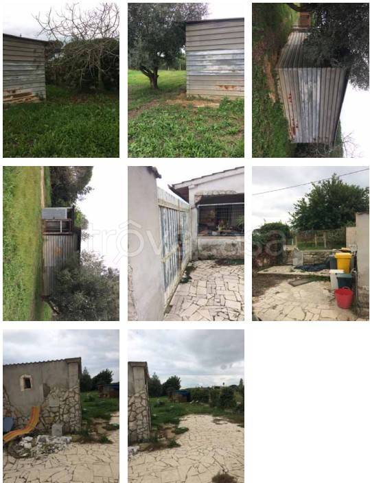 immagine annuncio 8 di 12