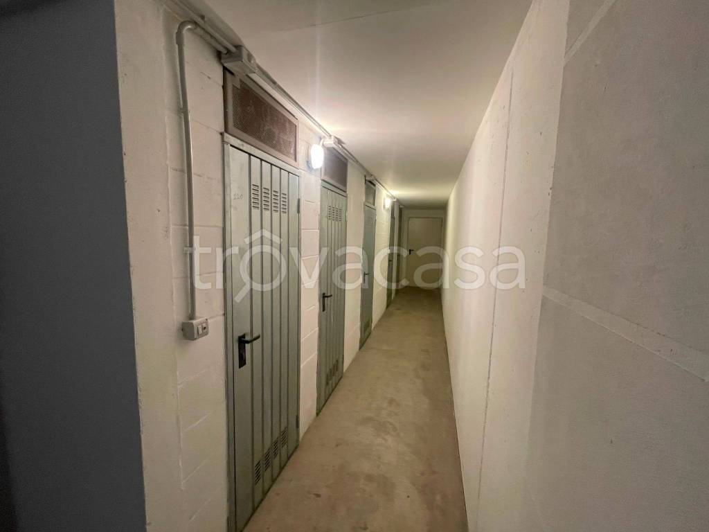 immagine annuncio 9 di 11