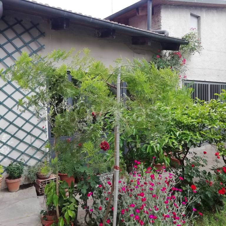 immagine annuncio 6 di 15