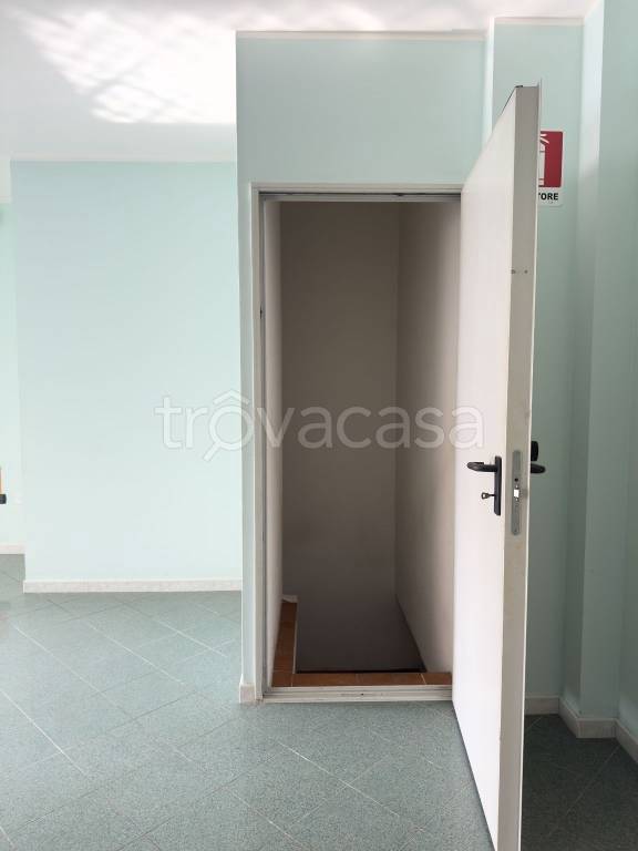 immagine annuncio 7 di 14