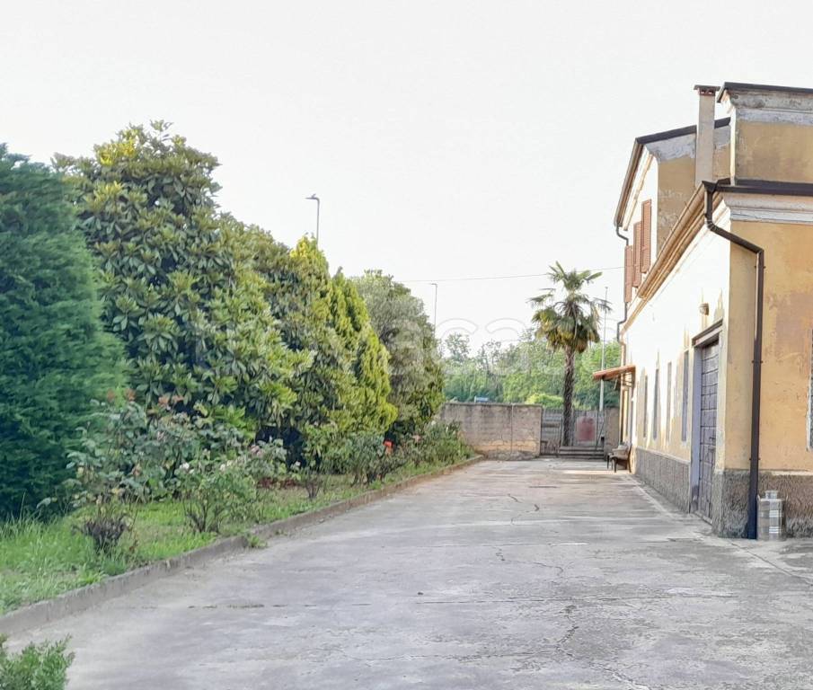immagine annuncio 1 di 4