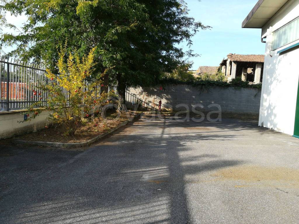immagine annuncio 1 di 11