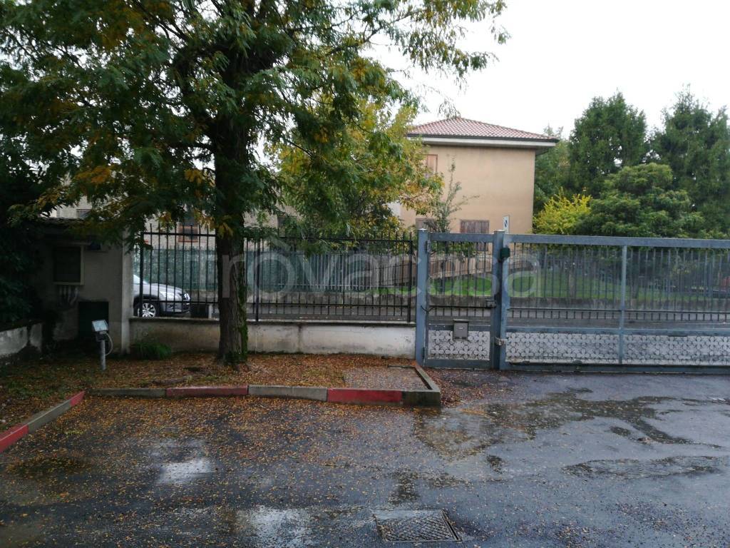 immagine annuncio 7 di 11