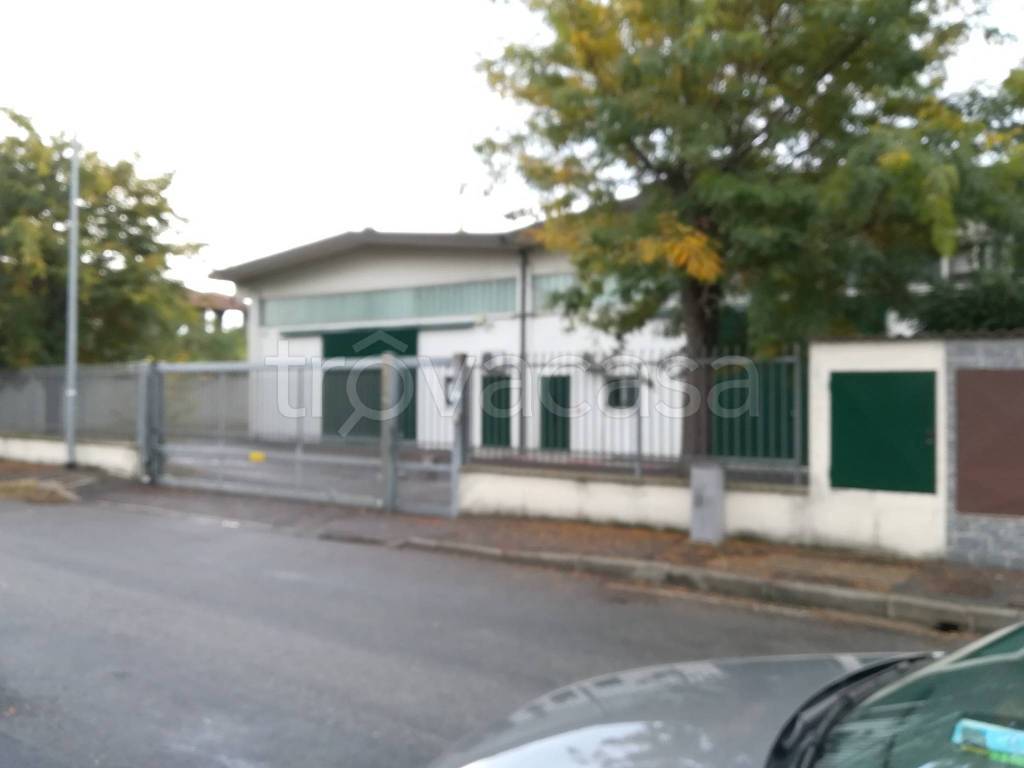immagine annuncio 3 di 11
