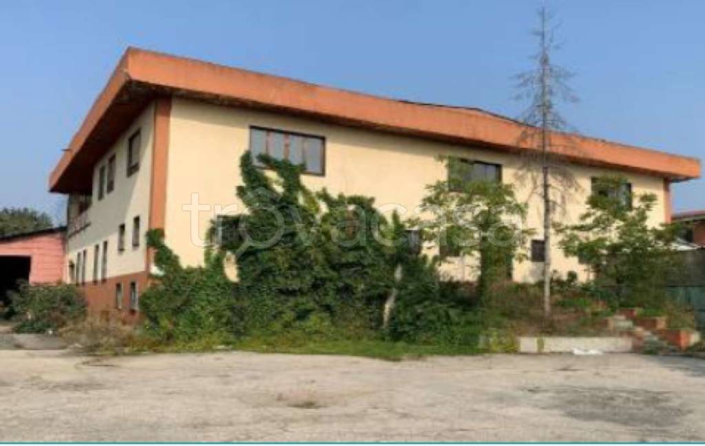 immagine annuncio 2 di 8