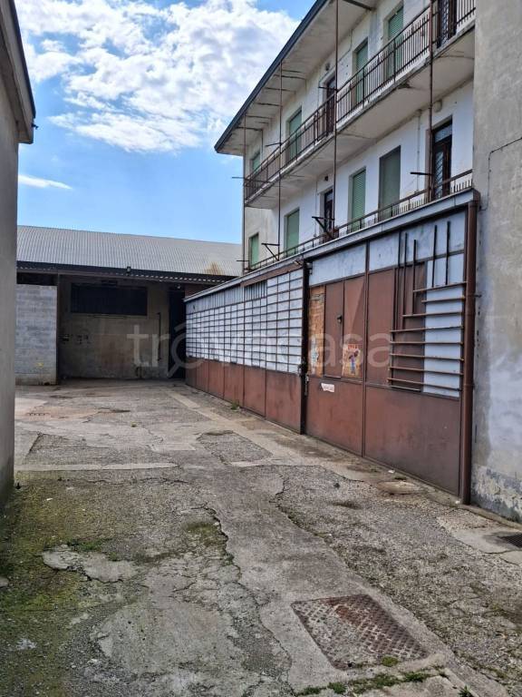 immagine annuncio 9 di 14