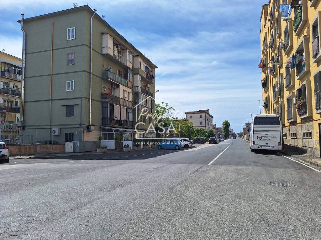 immagine annuncio 9 di 12