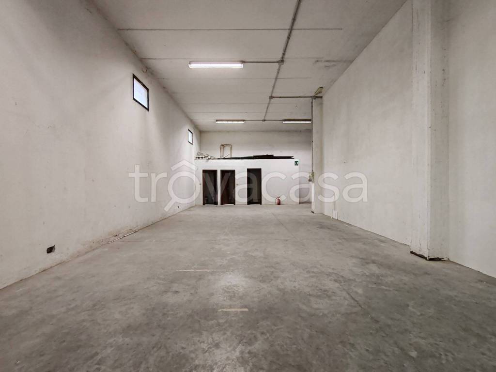 immagine annuncio 9 di 13