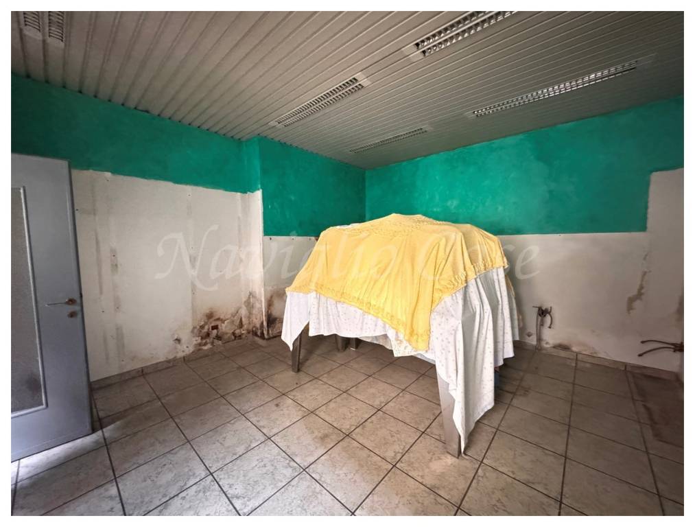 immagine annuncio 4 di 7