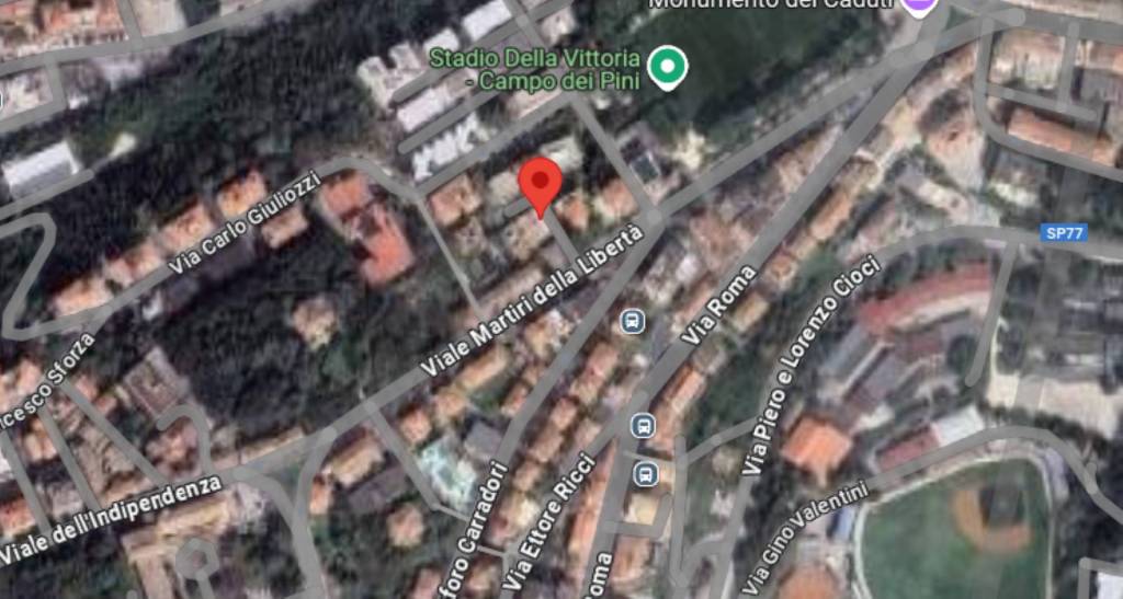 immagine annuncio 12 di 14