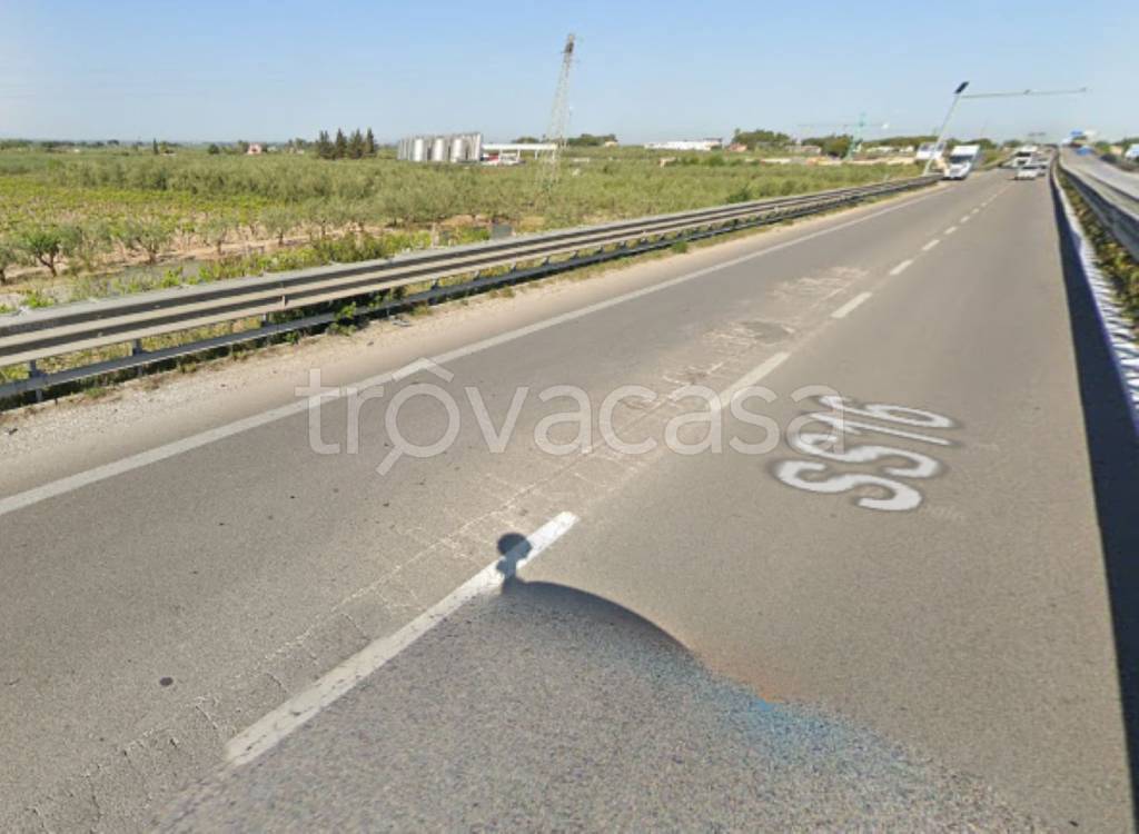 immagine annuncio 9 di 11