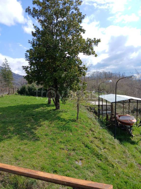 immagine annuncio 3 di 12