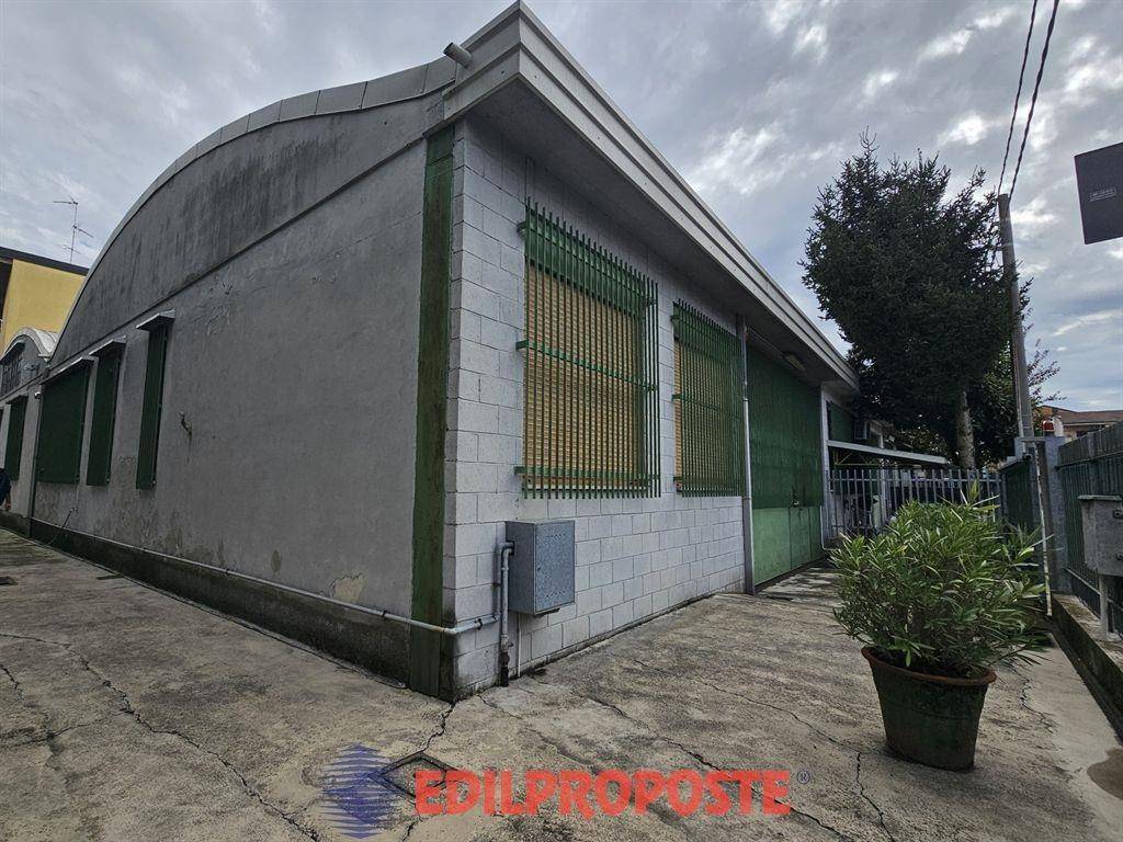 immagine annuncio 3 di 15