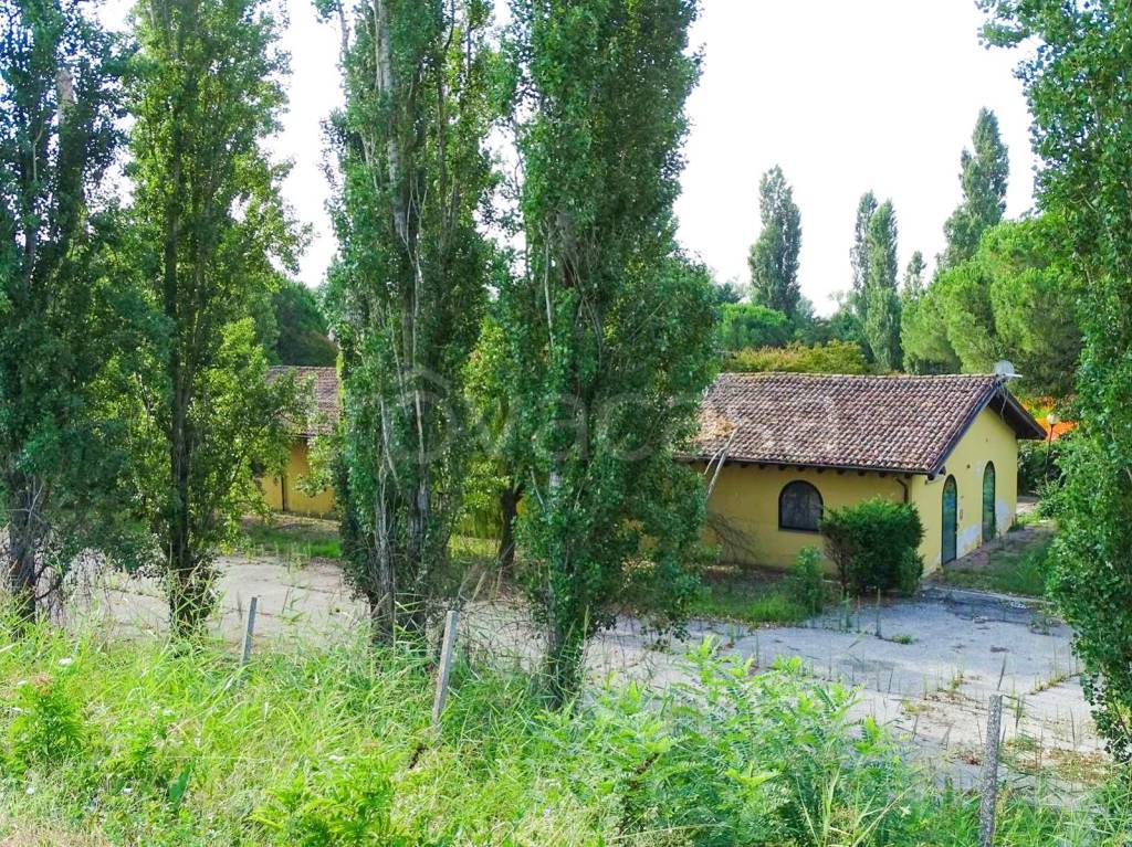 immagine annuncio 10 di 13