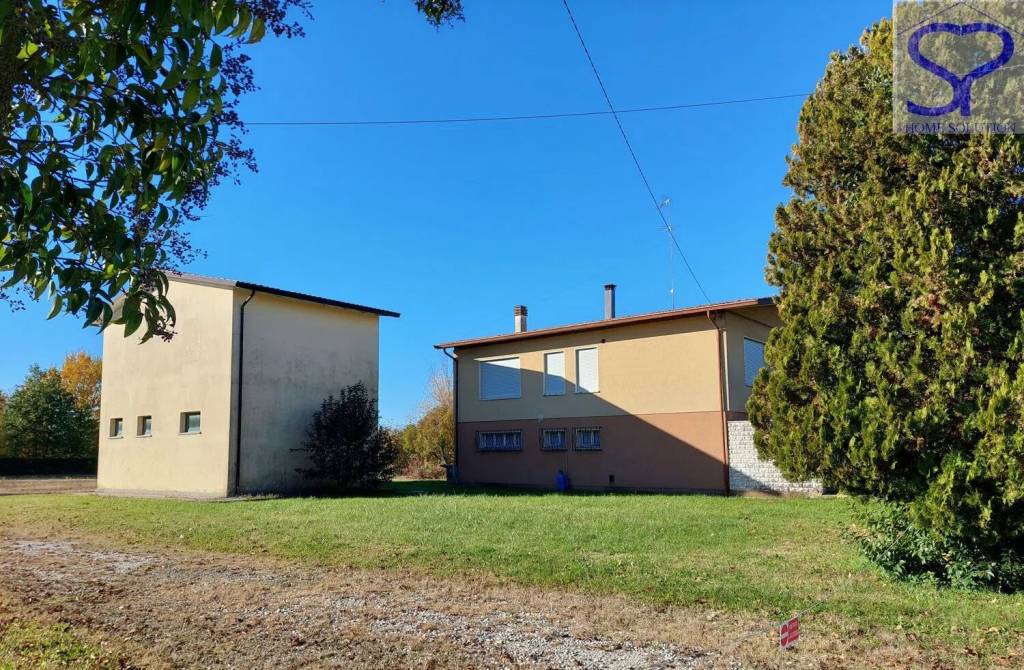 immagine annuncio 5 di 8