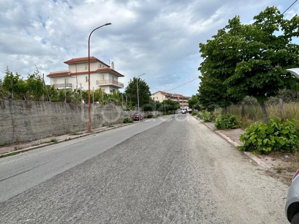 immagine annuncio 3 di 7