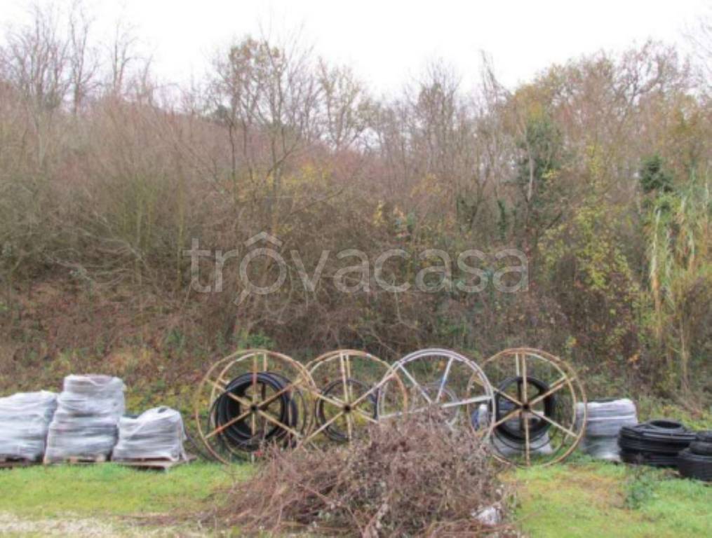 immagine annuncio 2 di 11