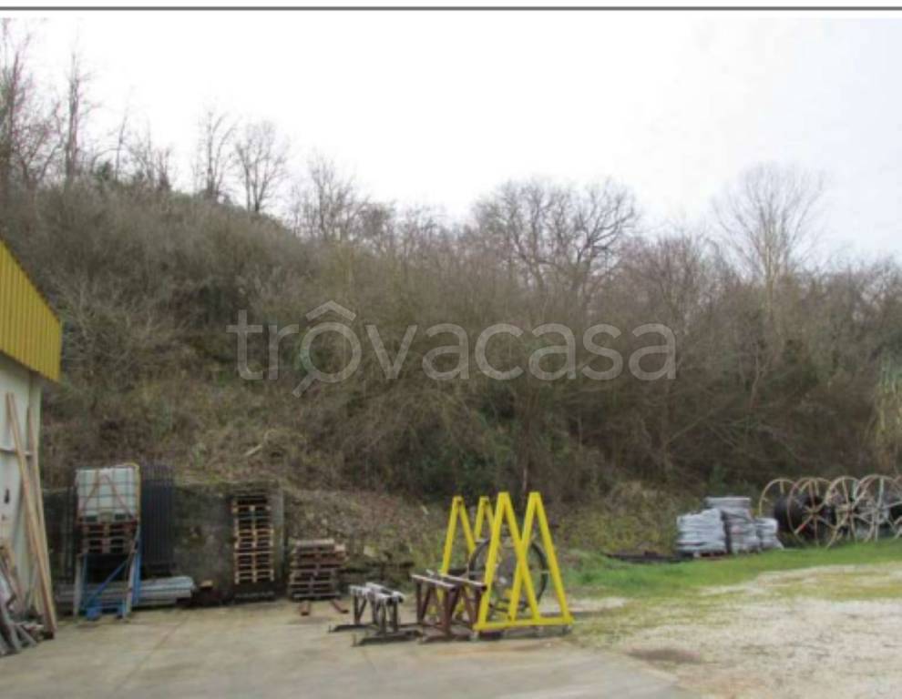immagine annuncio 8 di 11
