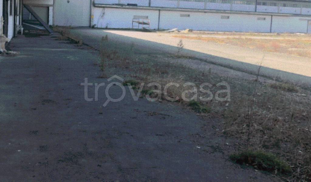 immagine annuncio 5 di 12