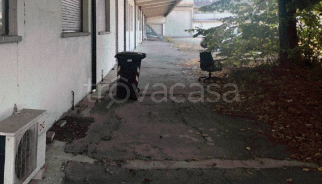 immagine annuncio 6 di 12