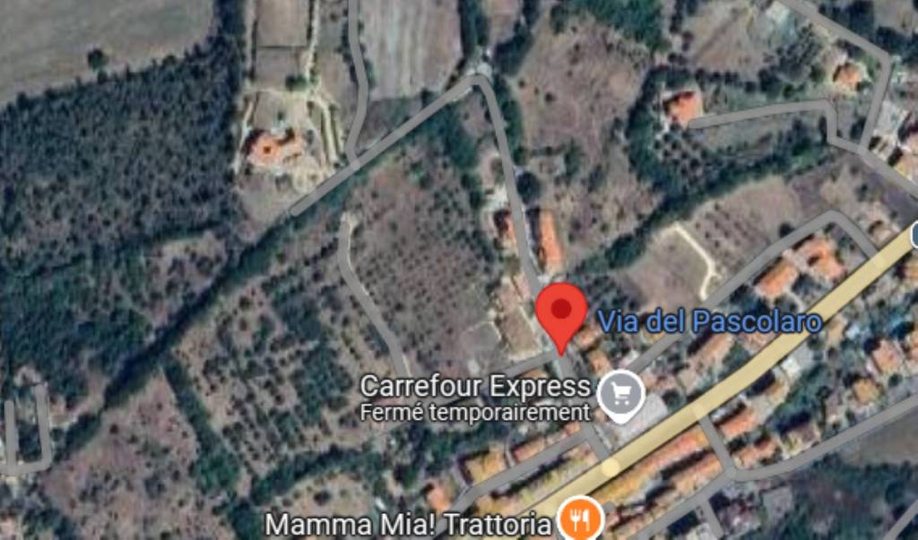 immagine annuncio 9 di 11