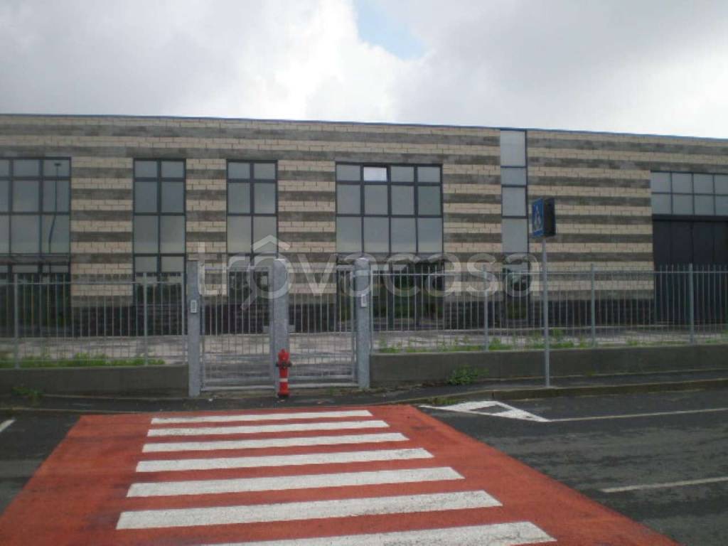 immagine annuncio 1 di 12