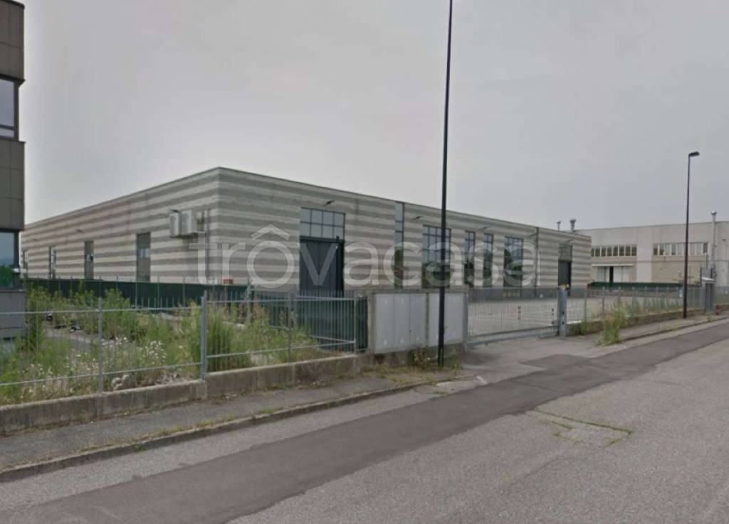 immagine annuncio 9 di 12