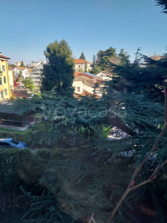 immagine annuncio 6 di 8