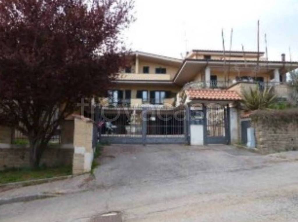 immagine annuncio 6 di 13