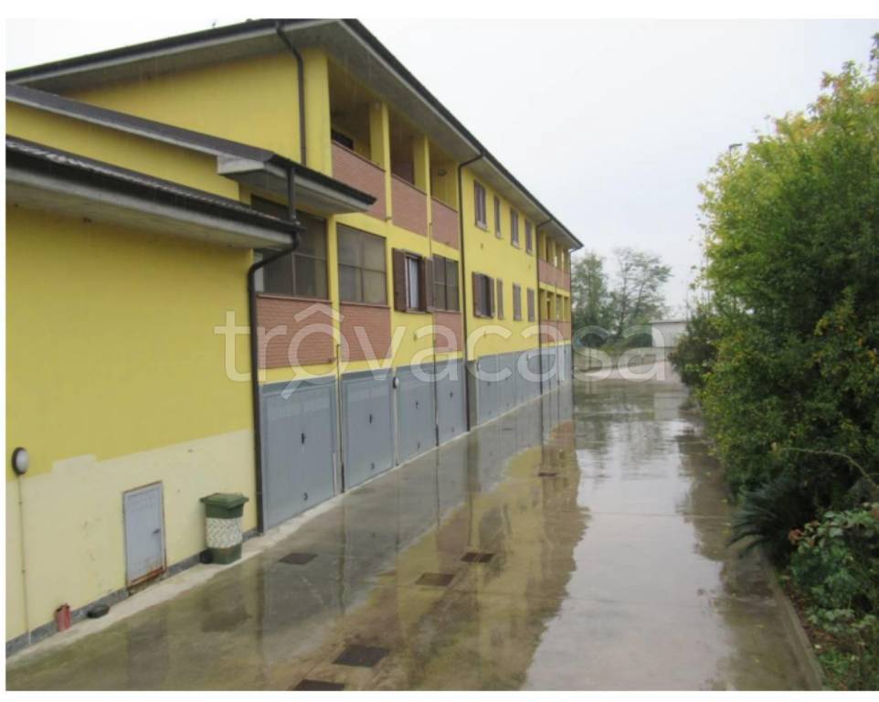 immagine annuncio 3 di 11