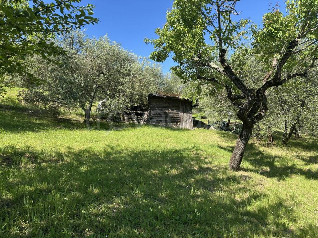 immagine annuncio 4 di 14