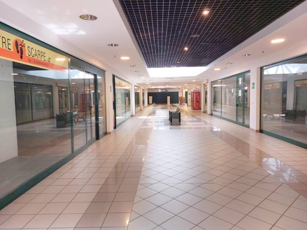 immagine annuncio 7 di 14