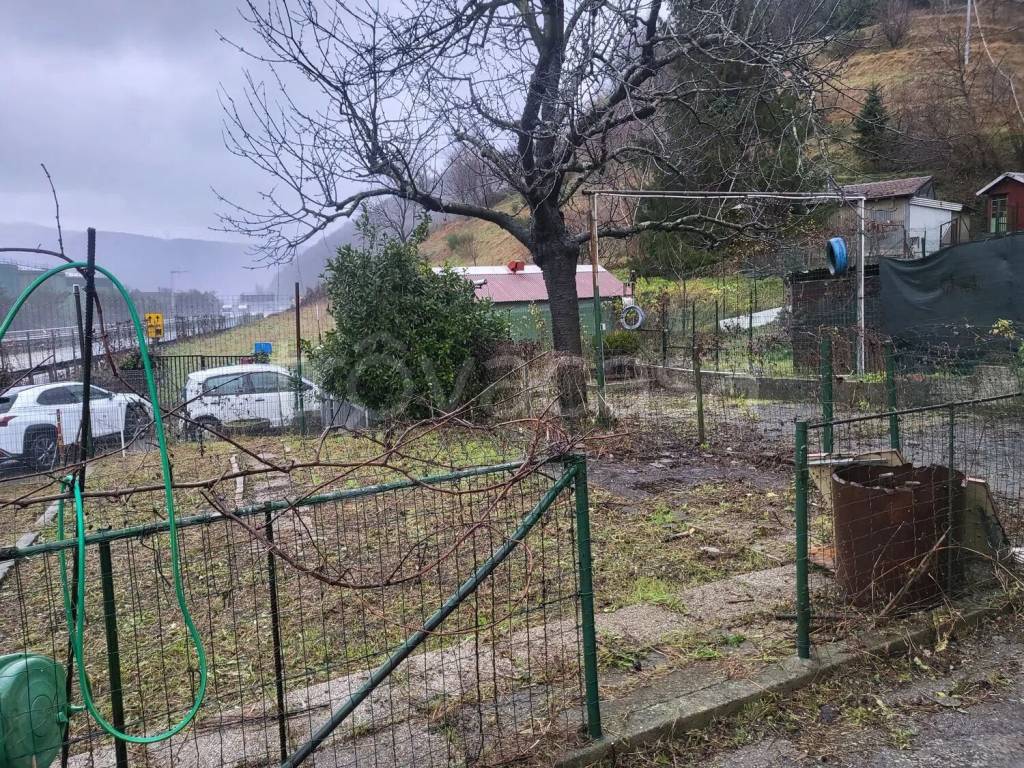 immagine annuncio 4 di 13