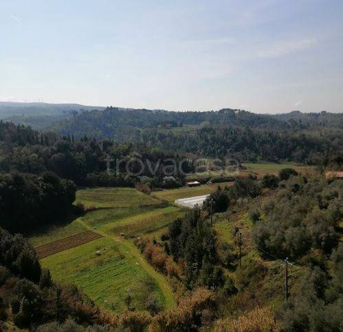 immagine annuncio 4 di 8