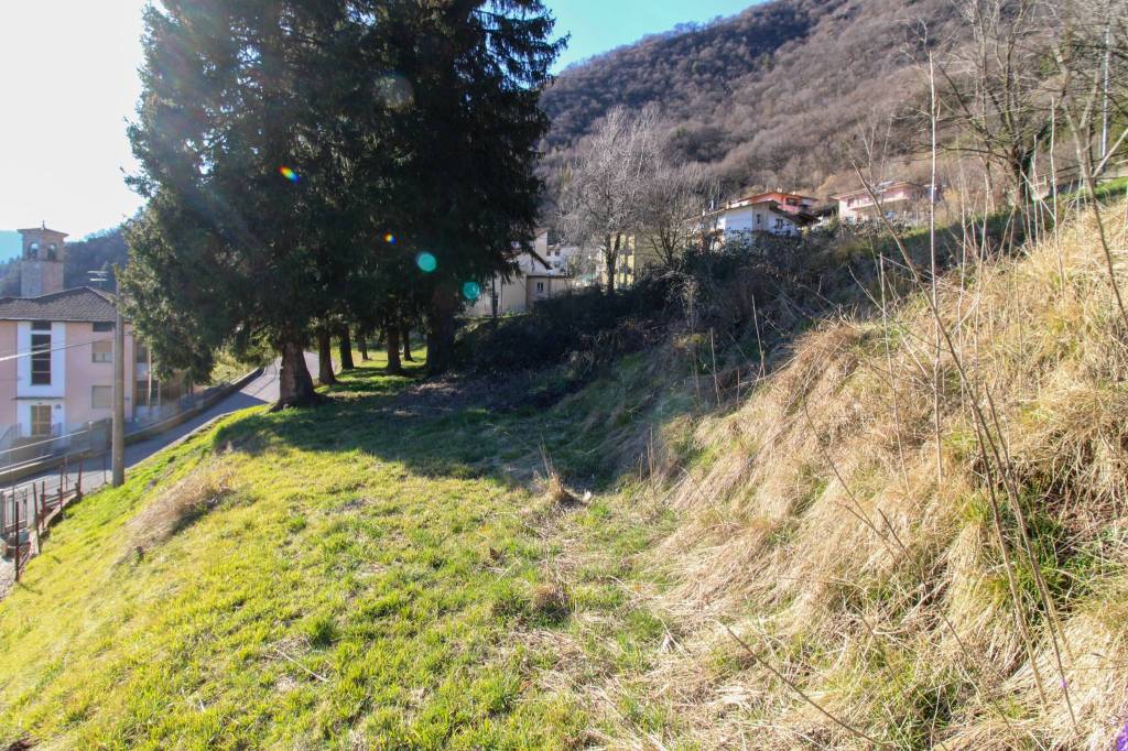 immagine annuncio 9 di 13