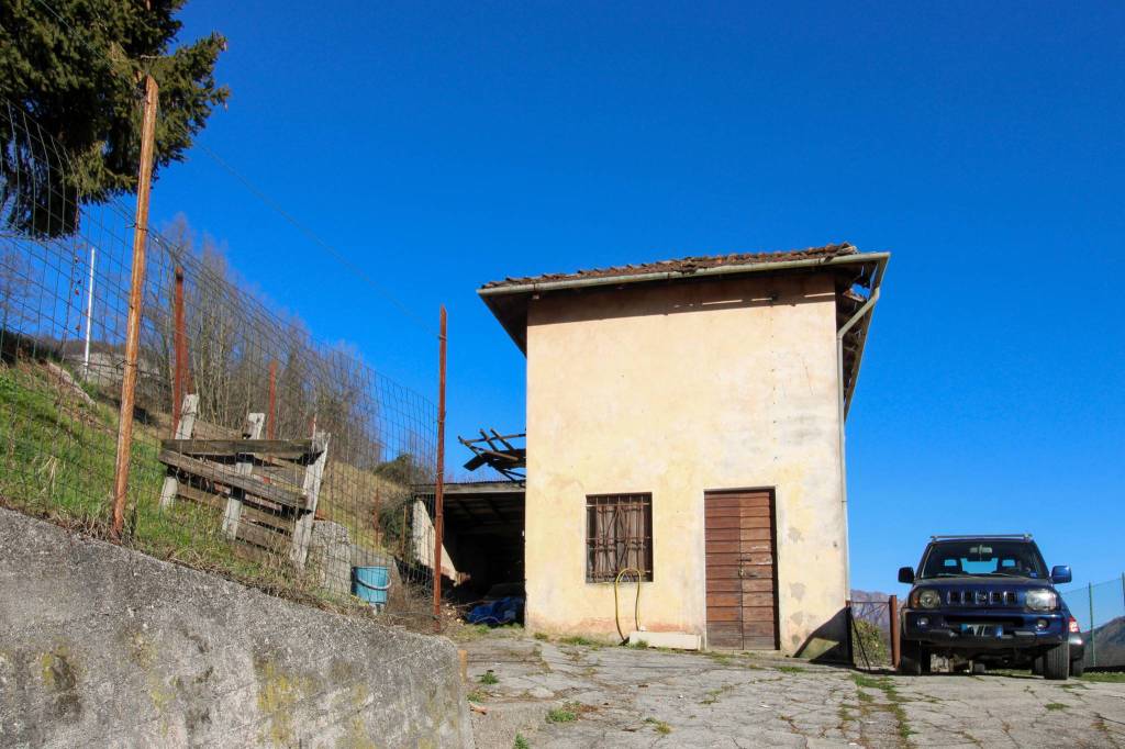immagine annuncio 11 di 13