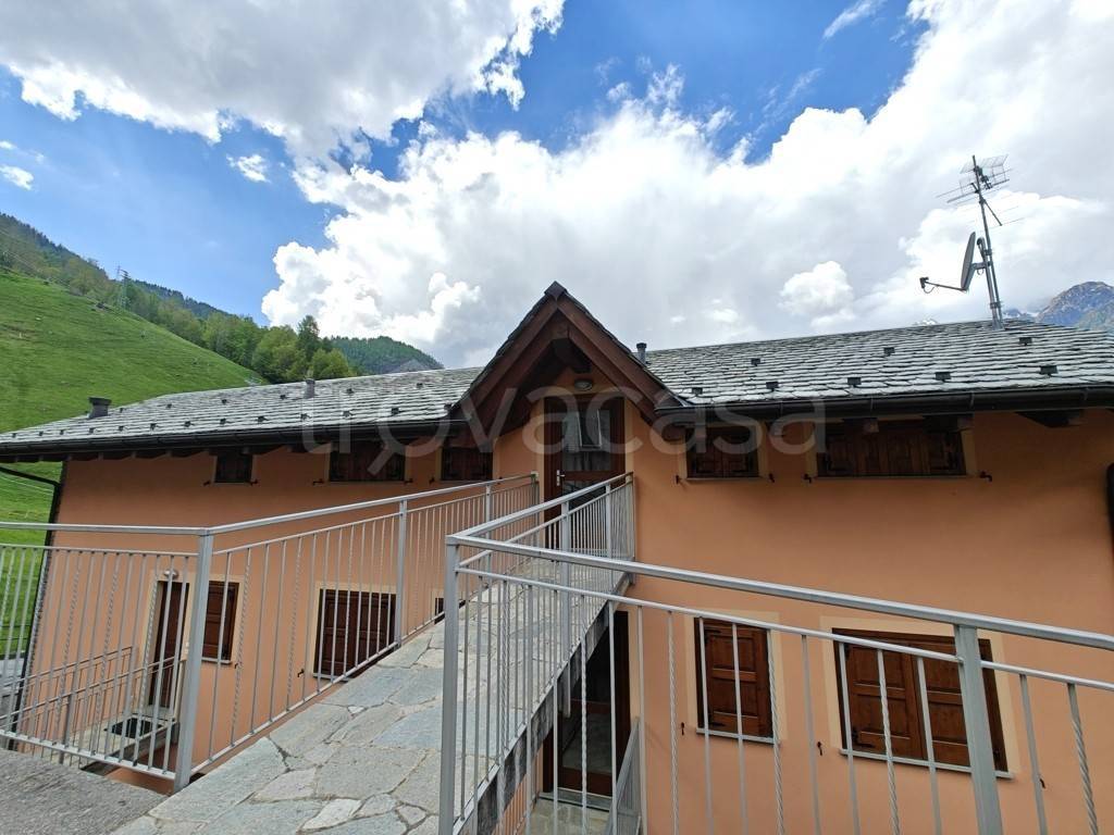 immagine annuncio 12 di 14