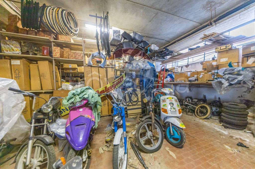 immagine annuncio 9 di 15